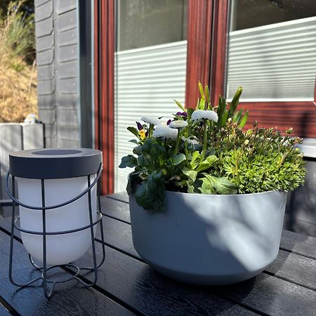 Dein Winterberg Apartment - Wifi Geschirrspueler Smart Tv 객실 사진