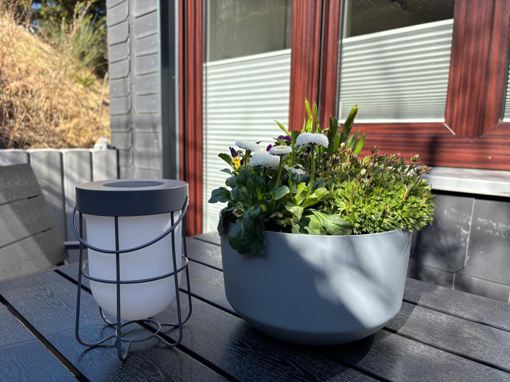 Dein Winterberg Apartment - Wifi Geschirrspueler Smart Tv 객실 사진